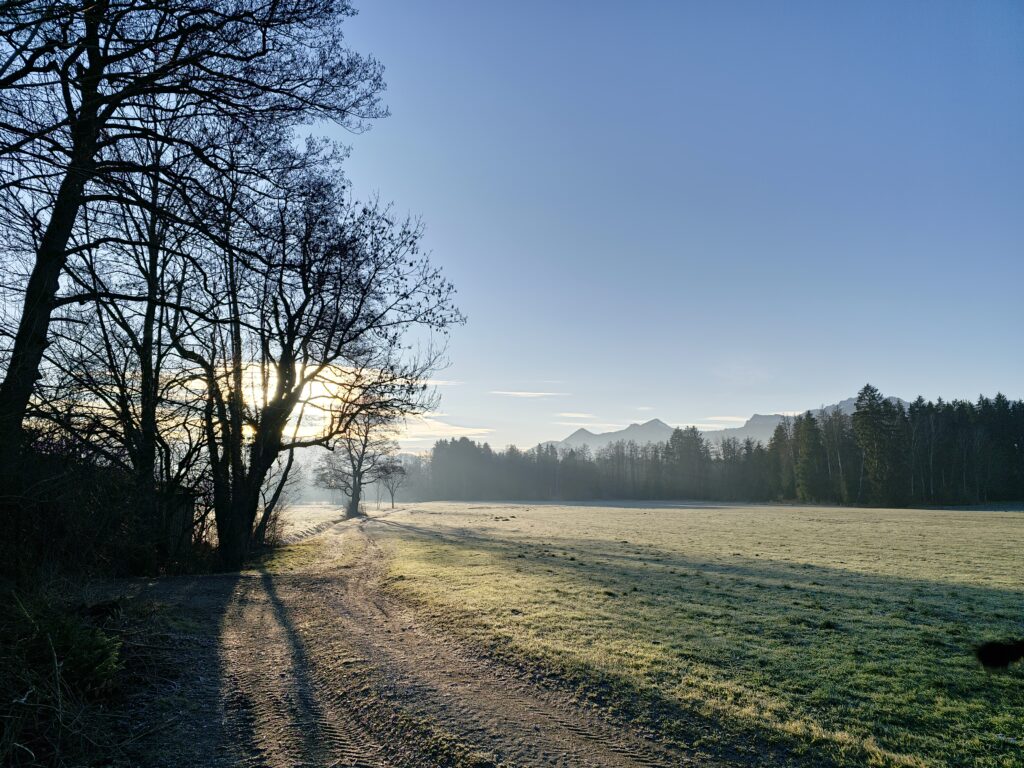 Morgenspaziergang bei minus 7 Grad